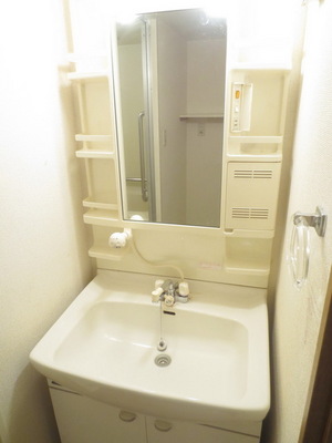 Washroom. Popular independent wash basin