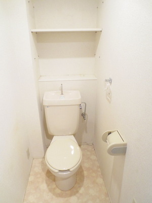 Toilet. Also storage space in the toilet