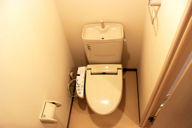 Toilet. Also housed there in the toilet private room. 