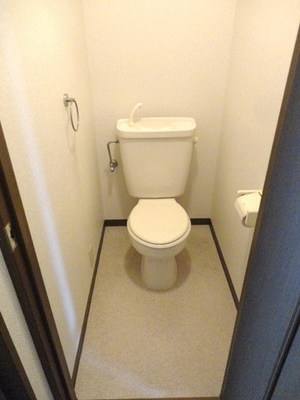 Toilet. Separate toilet