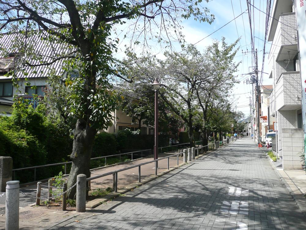 Other. About 30m until the Kitazawa River green road