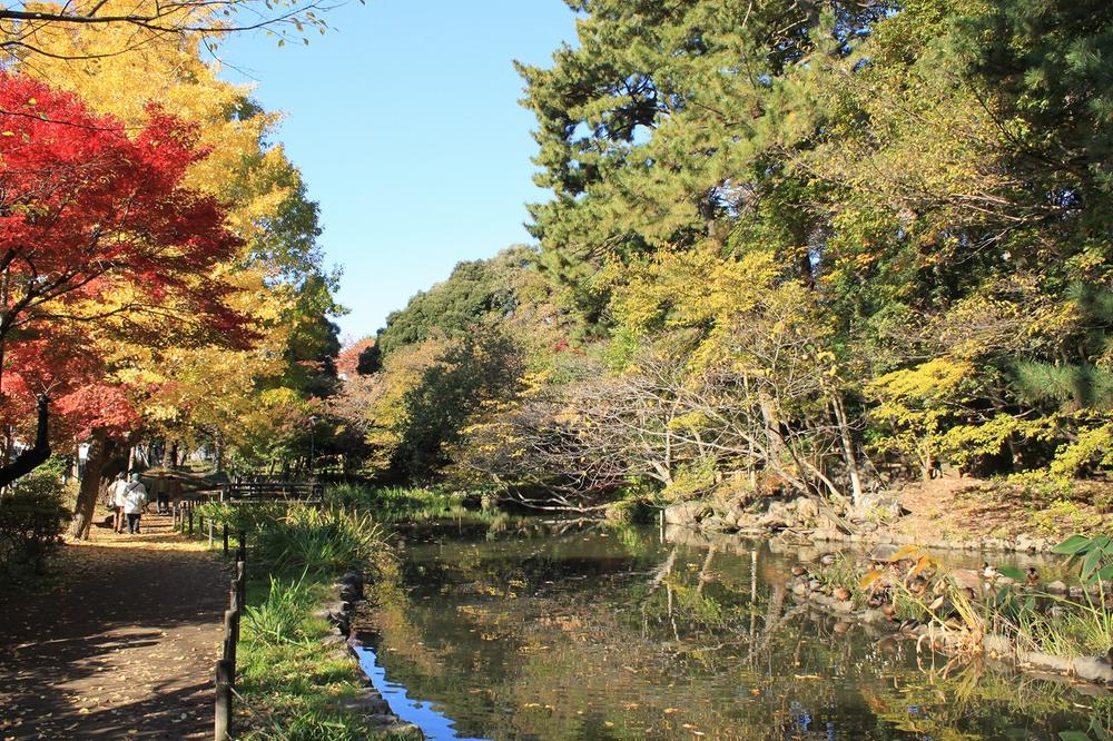 Other. "Hourai park" autumn leaves (A 12-minute walk)