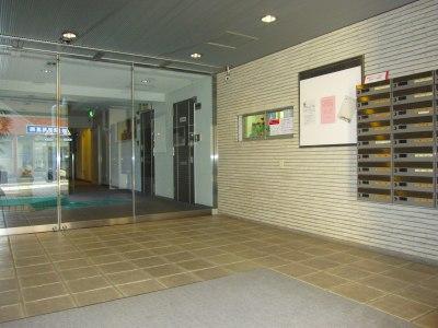 Entrance. Common areas