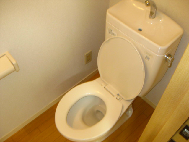 Toilet.  ☆ Toilets are like this ☆