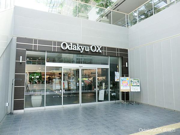 Supermarket. OdakyuOX Seijo to the store 548m