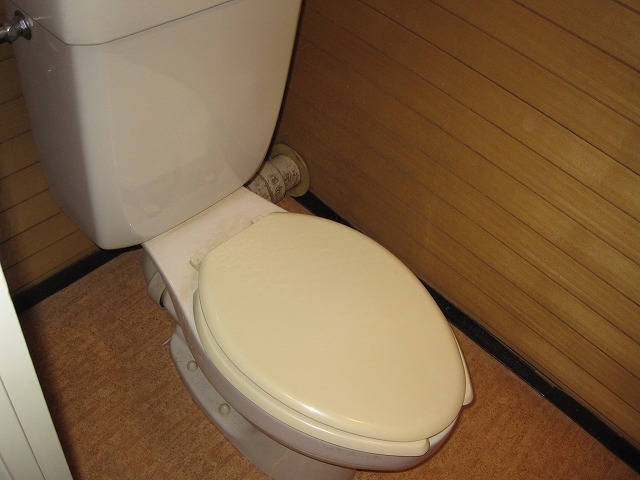 Toilet