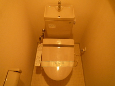 Toilet. Washlet toilet