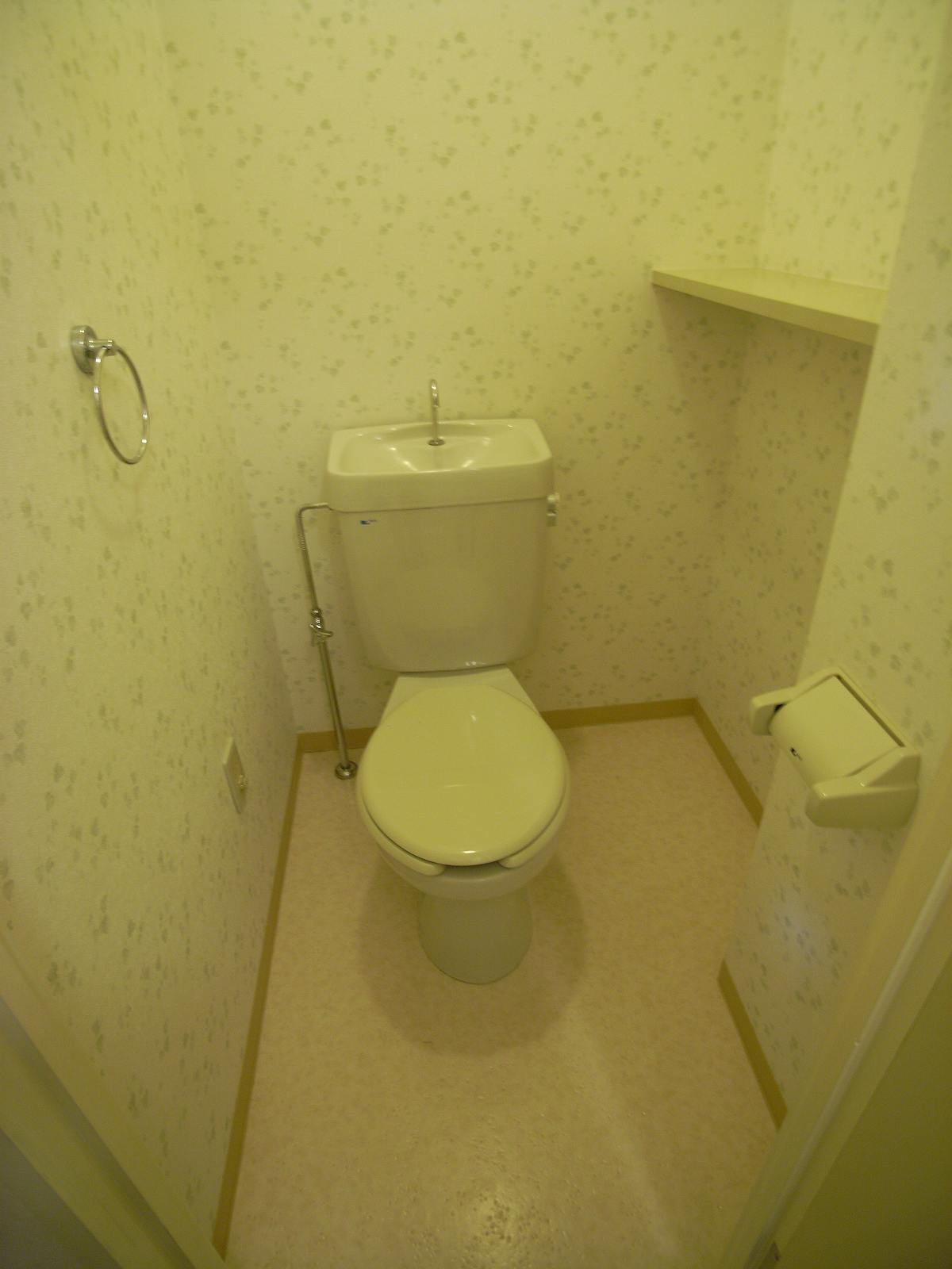 Toilet. It can also housed since the wide toilet