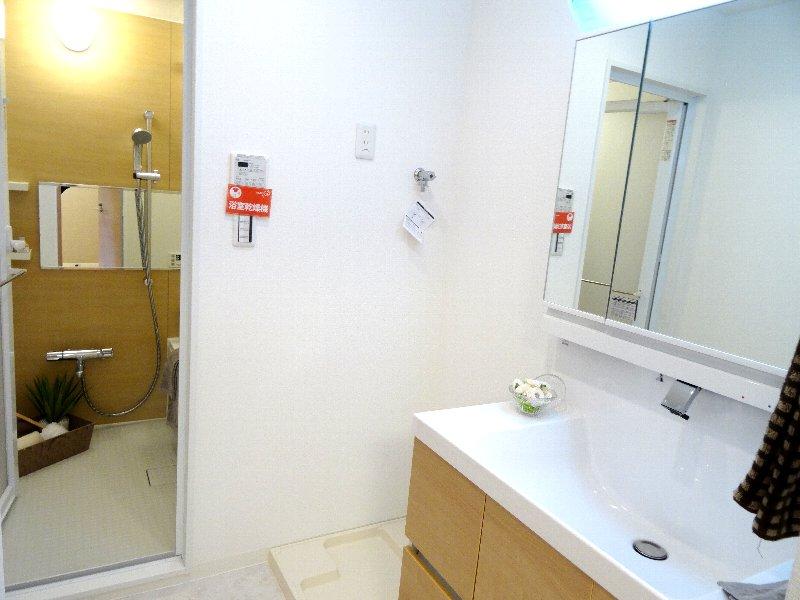 Wash basin, toilet. Indoor (11 May 2013) Shooting bathroom