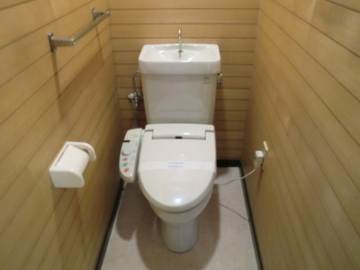 Toilet. It is with a bidet of glad equipment