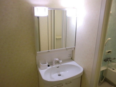 Washroom. It is with a convenient shampoo dresser