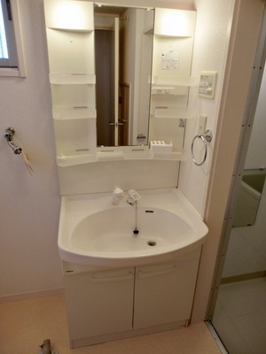 Washroom. It is a useful independent vanity of the type that the shower head can be taken