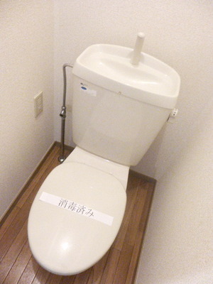 Toilet. Toilet