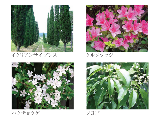 Features of the building.  [Every day that watered the green and sunshine, Planting plans that take advantage of the high ratio of open space] The beautiful flowers in May bloom Kurume to the site south, White flowers was placed in a beautiful serissa (swan flower) the entrance. Also, It arranged the trees so as to surround the site, We have to create a green environment. (Photo is an example of planting)