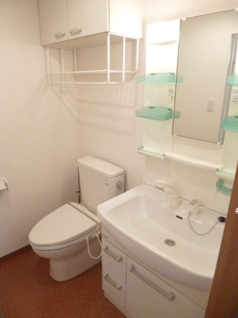 Washroom. With popular shampoo dresser