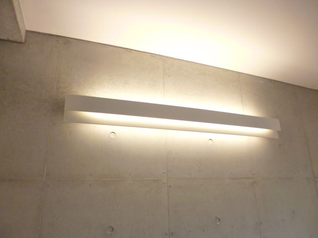 Living and room. Stylish indirect lighting