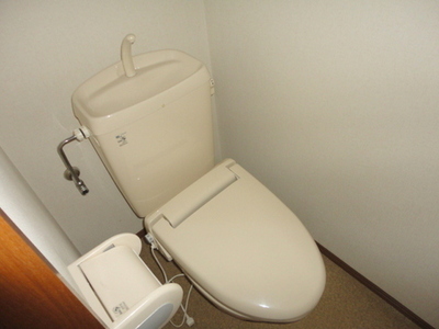 Toilet. It comes with a heating toilet seat