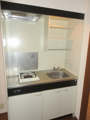 Kitchen. It comes with a gas stove