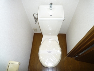 Toilet. Toilet