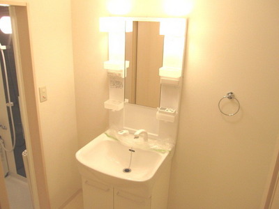 Washroom. It is a convenient independent washbasin