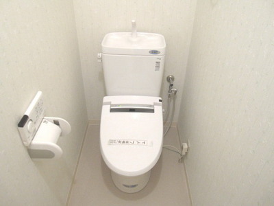 Toilet. Toilet is with a bidet