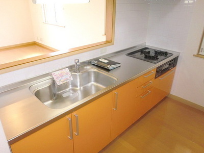 Kitchen. System kitchen