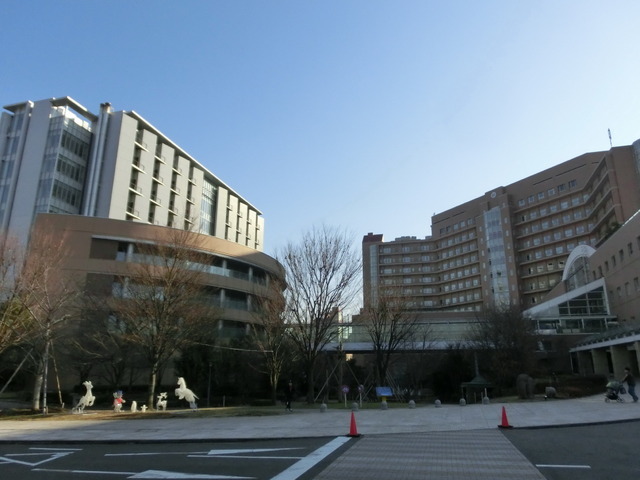 Hospital. 600m to the International Center for Child Health and Development (hospital)