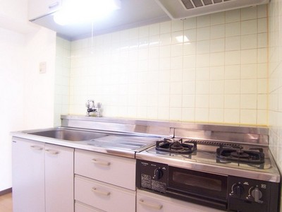 Kitchen. Two-burner stove system kitchen with grill