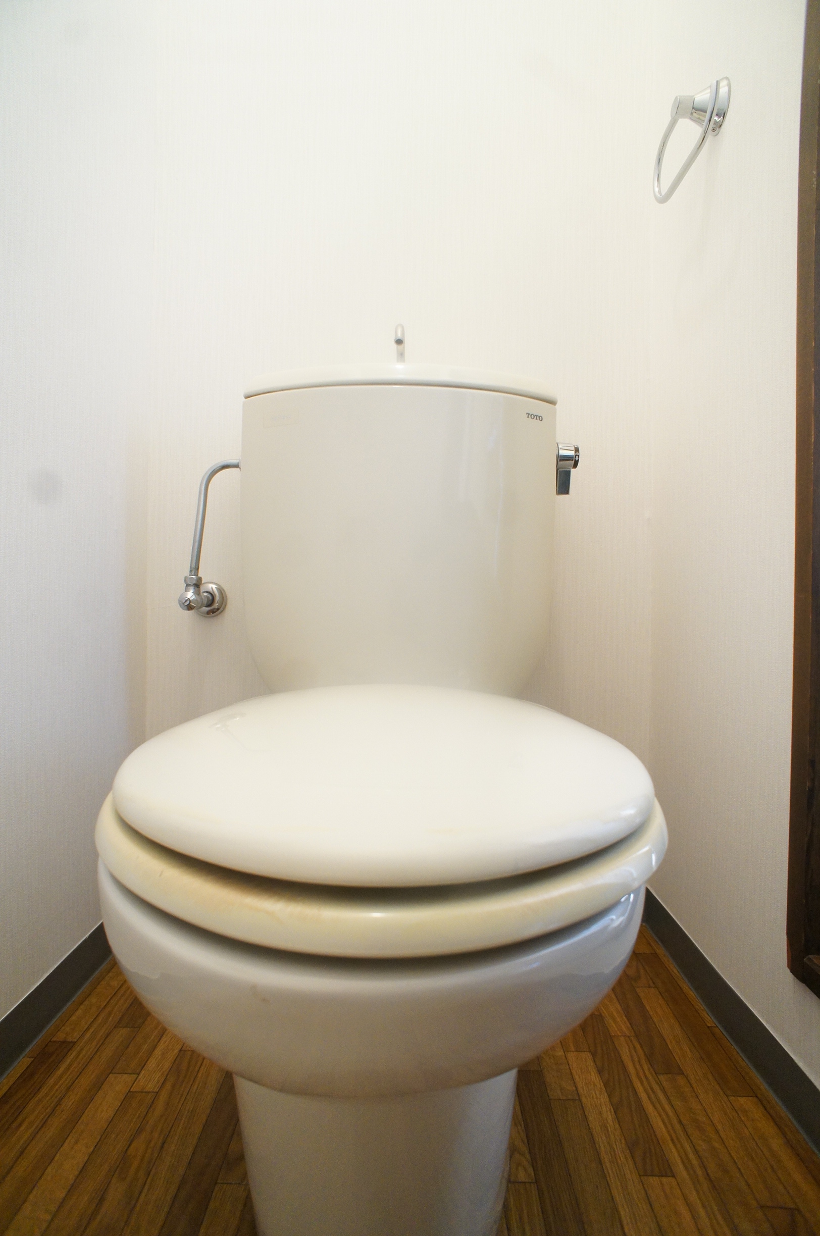 Toilet. White wall of the toilet with a clean. 