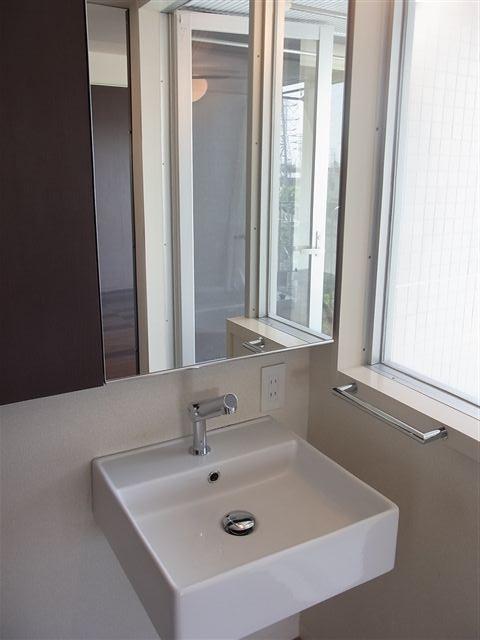 Washroom. Sophisticated design basin