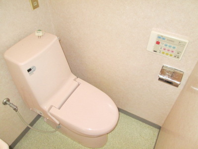 Toilet. Washlet toilet