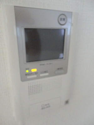 Security. Color TV monitor interphone