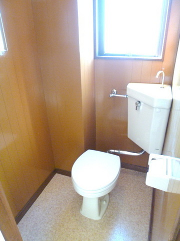 Toilet. With toilet window