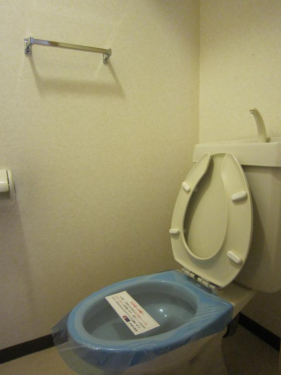 Toilet. It is with shelf. 