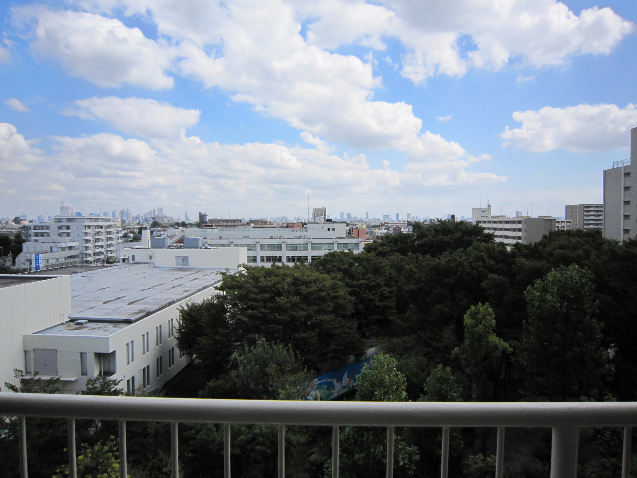 View. Green is refreshing rather than residential building in front. 