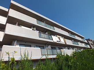 Building appearance. It is a blue sky look good well building