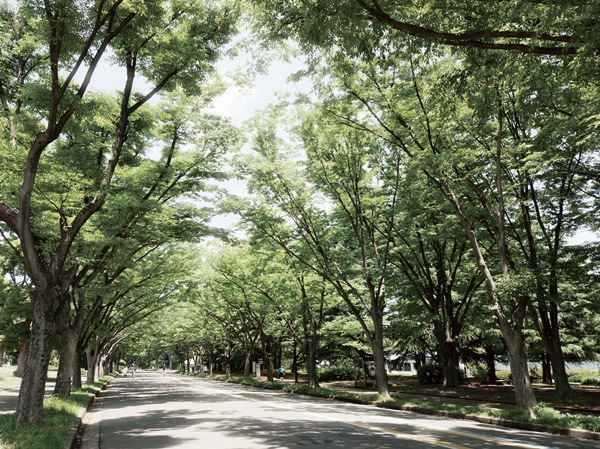 Surrounding environment. Komazawa Olympic Park (about 880m ・ 11-minute walk)