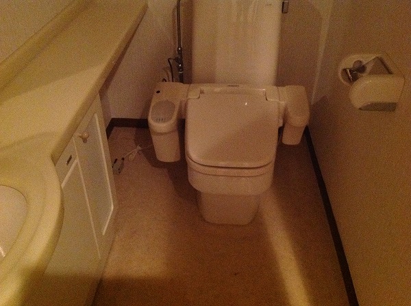 Toilet