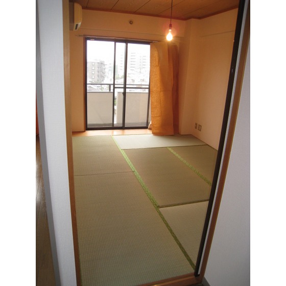 Living and room. Japanese style room