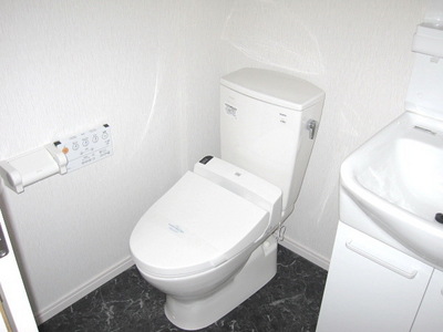 Toilet. It comes with a bidet