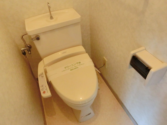 Toilet. There is a toilet of cleanliness with a bidet