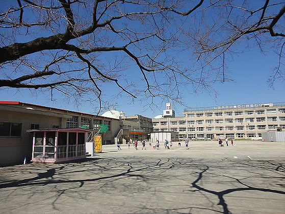 Primary school. 270m to Setagaya Ward Chitosedai elementary school (elementary school)