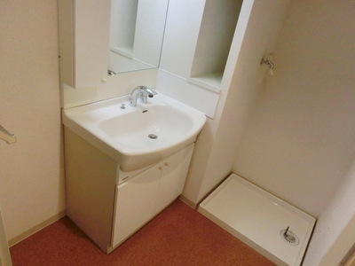 Washroom. With a convenient shampoo dresser