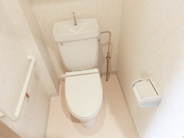 Toilet. Spacious toilet