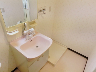 Washroom. It is a handy basin dressing room with shampoo dresser