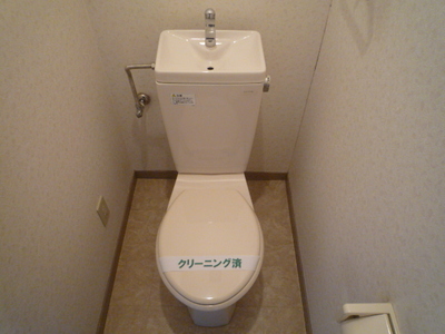 Toilet. Toilet