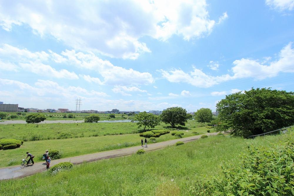 Other. Tamagawa river