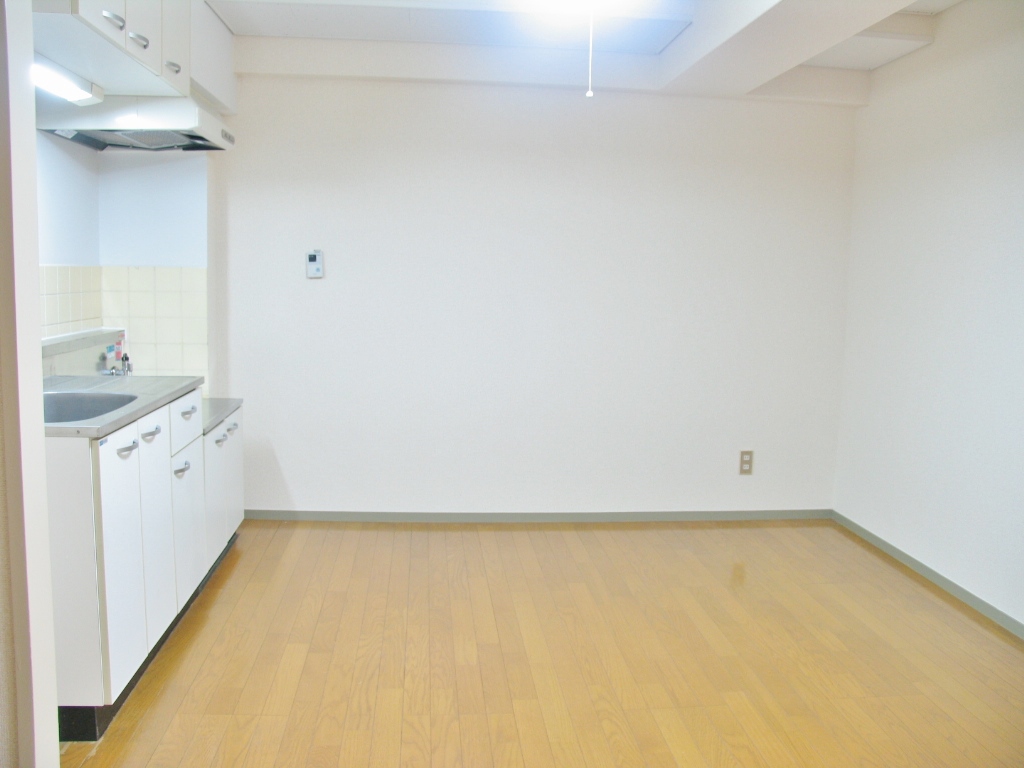 Living and room.  ■ Spacious kitchen space (another room image photo)