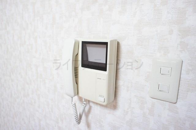 Security equipment. Monitor with intercom