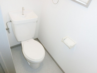 Toilet. It is a toilet with a clean